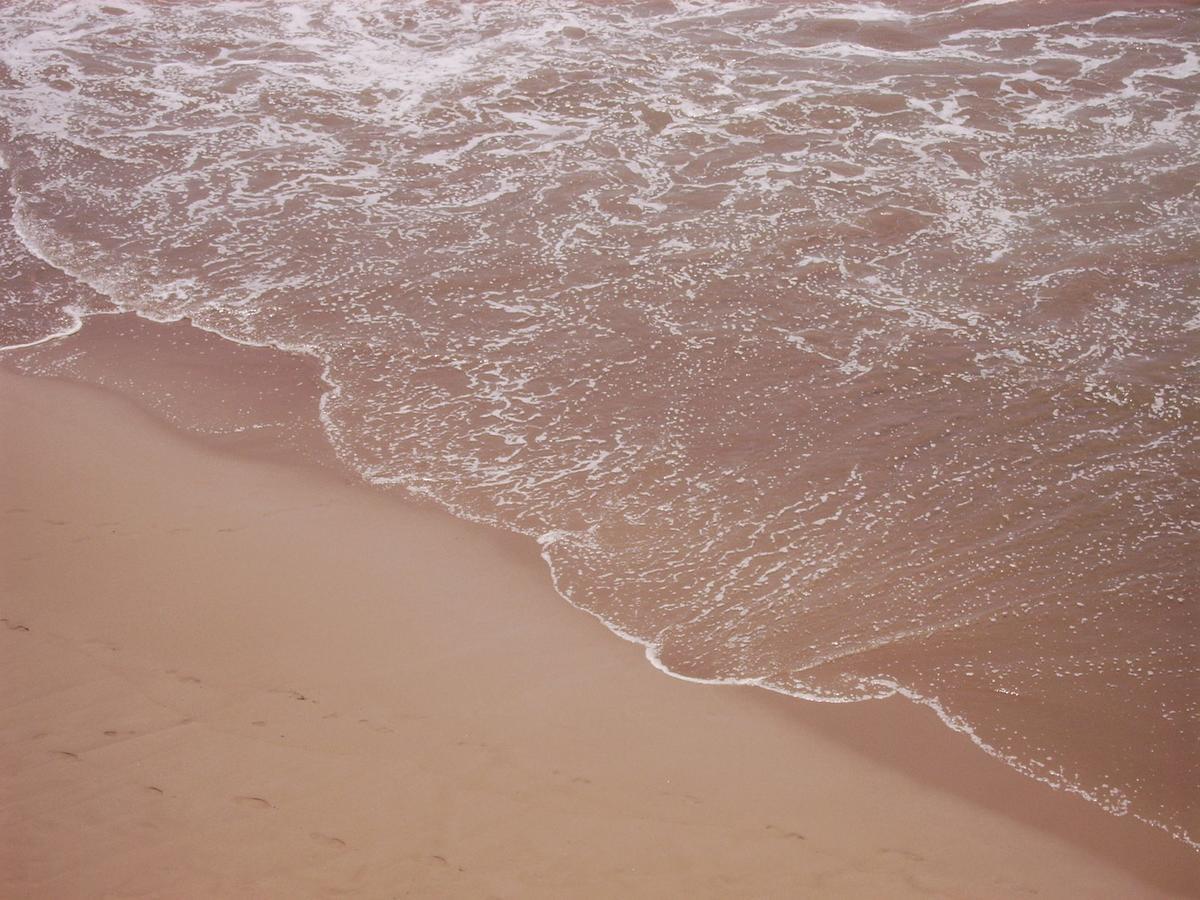 Surf 6 Appartement *